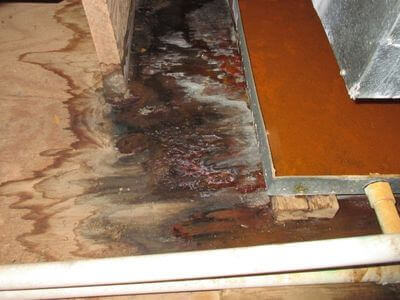 About Gilbert Water Damage Restoration Pros - water damage restoration experts in Gilbert